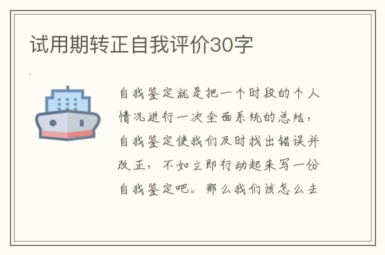 试用期转正自我评价30字