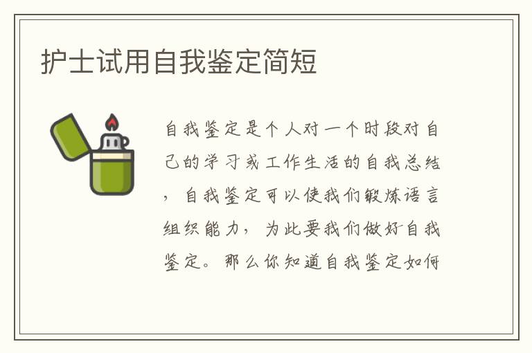 护士试用自我鉴定简短