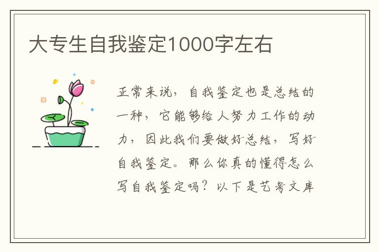 大专生自我鉴定1000字左右