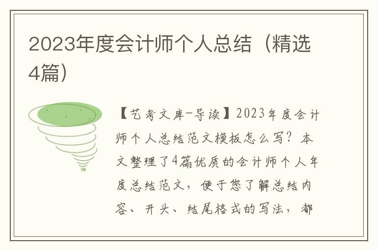 2023年度会计师个人总结（精选4篇）