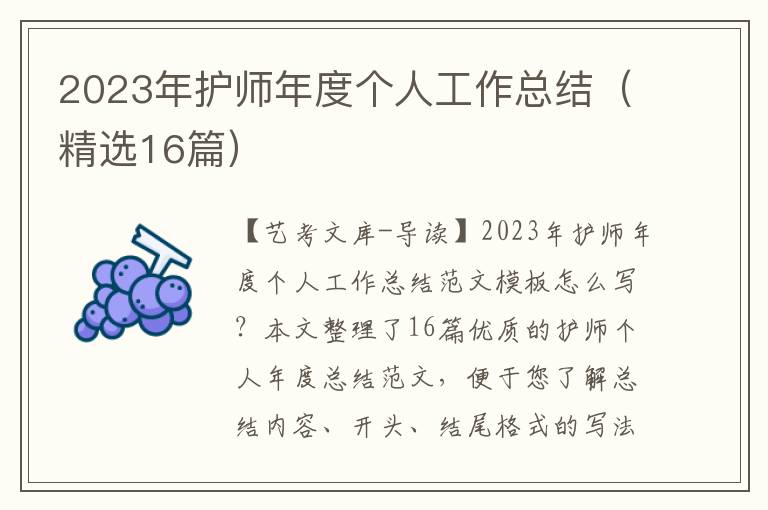 2023年护师年度个人工作总结（精选16篇）