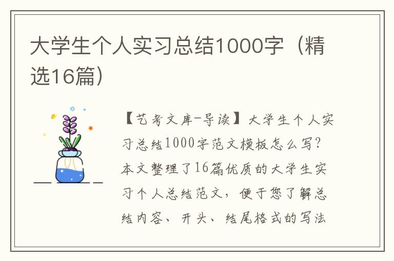 大学生个人实习总结1000字（精选16篇）