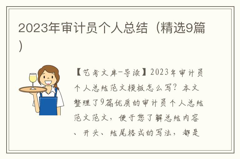 2023年审计员个人总结（精选9篇）