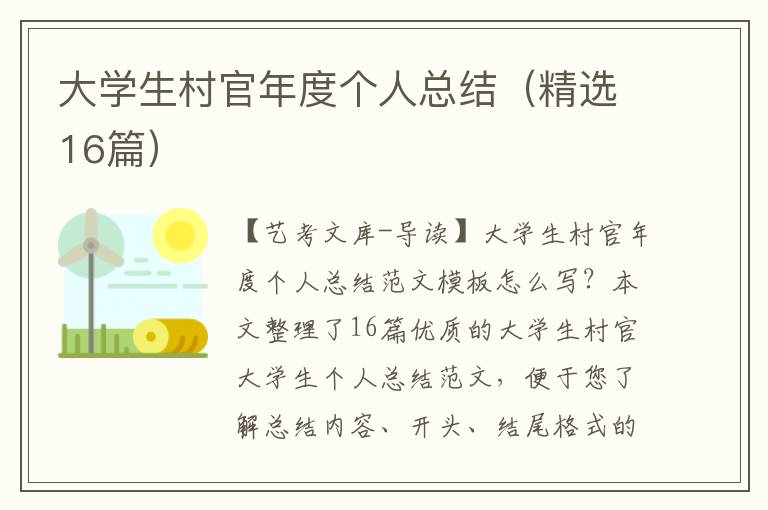 大学生村官年度个人总结（精选16篇）