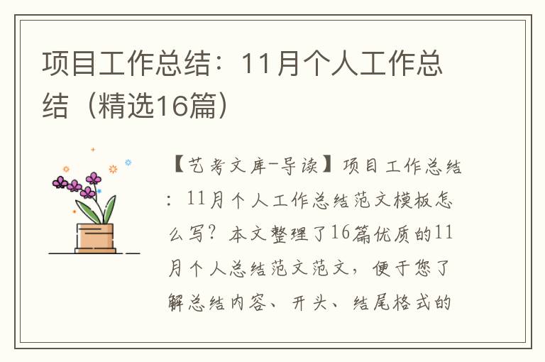 项目工作总结：11月个人工作总结（精选16篇）