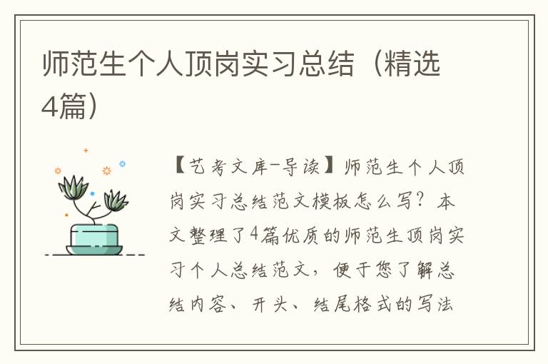 师范生个人顶岗实习总结（精选4篇）