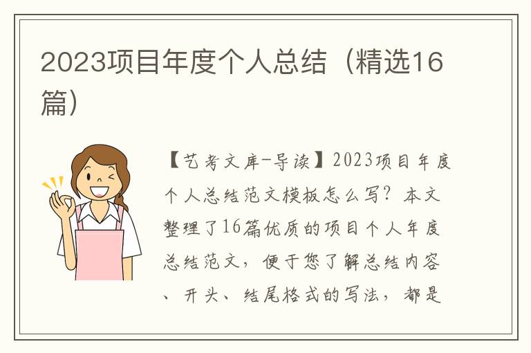 2023项目年度个人总结（精选16篇）