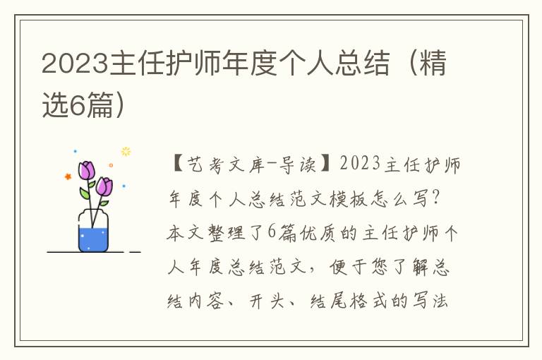 2023主任护师年度个人总结（精选6篇）