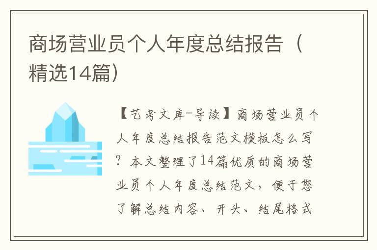 商场营业员个人年度总结报告（精选14篇）