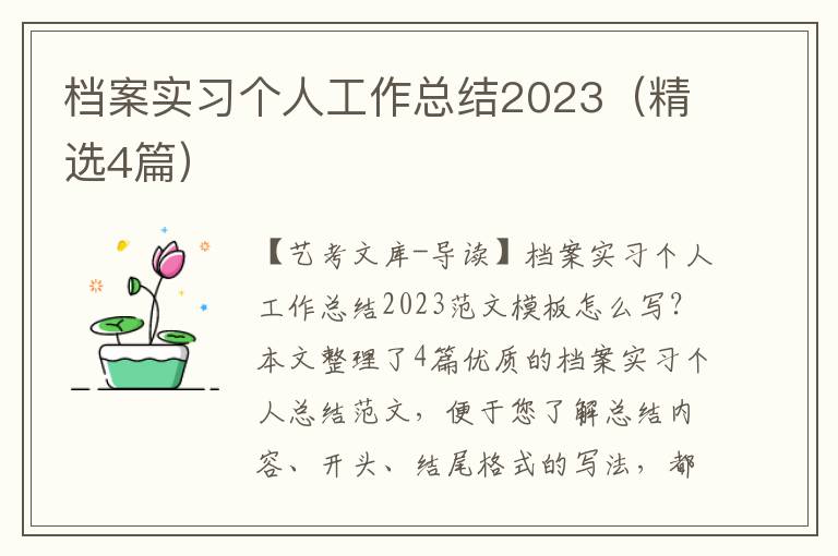 档案实习个人工作总结2023（精选4篇）