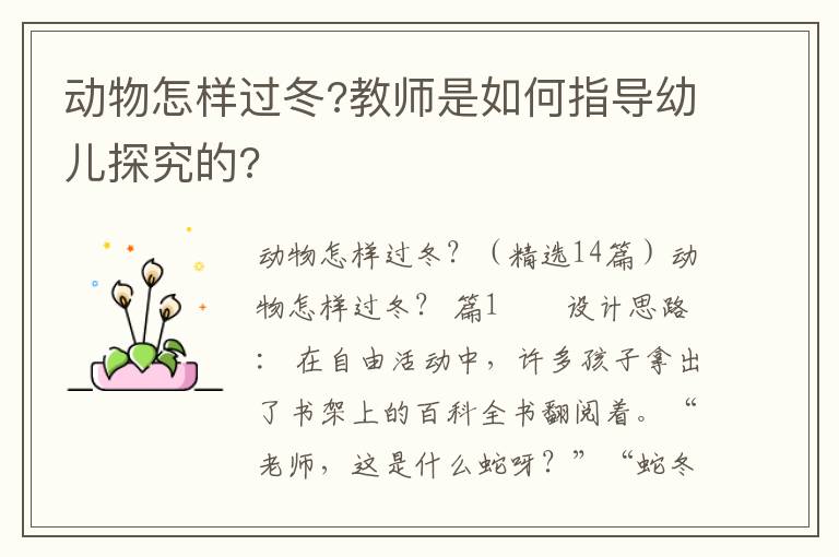 动物怎样过冬?教师是如何指导幼儿探究的?