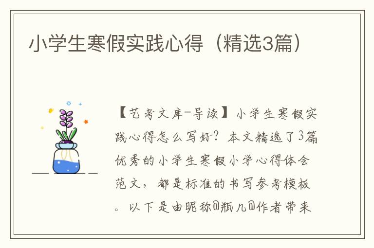 小学生寒假实践心得（精选3篇）