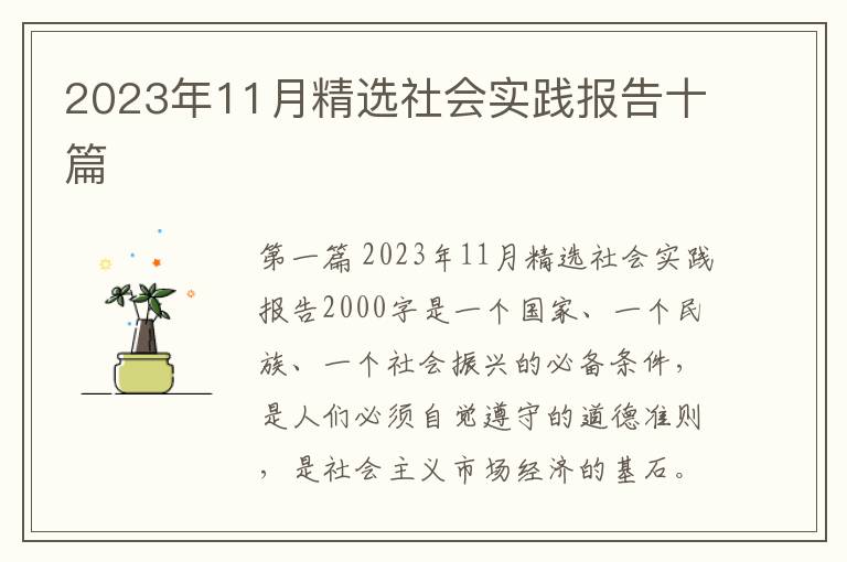 2023年11月精选社会实践报告十篇