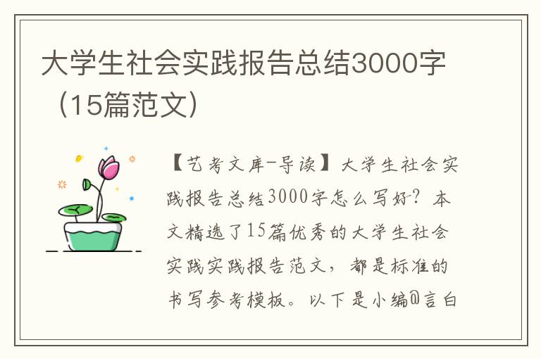 大学生社会实践报告总结3000字（15篇范文）