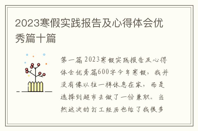 2023寒假实践报告及心得体会优秀篇十篇