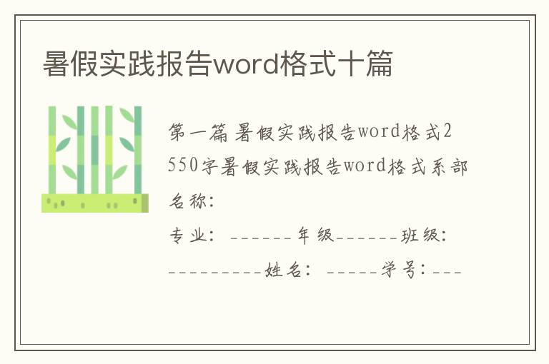 暑假实践报告word格式十篇