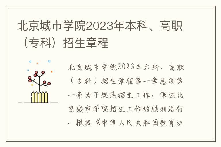 北京城市学院2023年本科、高职（专科）招生章程