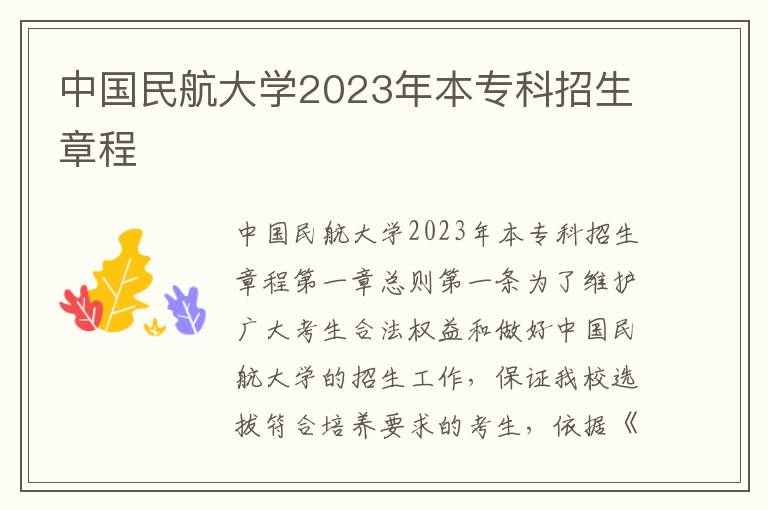 中国民航大学2023年本专科招生章程