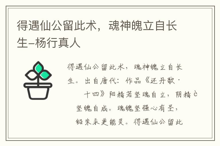 得遇仙公留此术，魂神魄立自长生-杨行真人