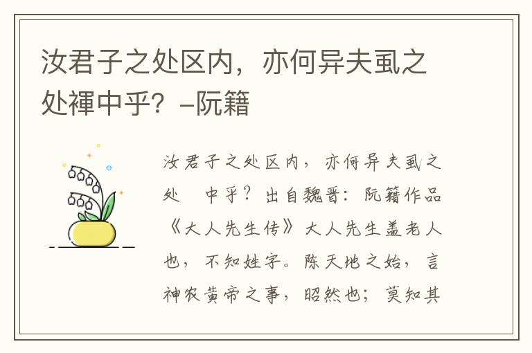 汝君子之处区内，亦何异夫虱之处褌中乎？-阮籍