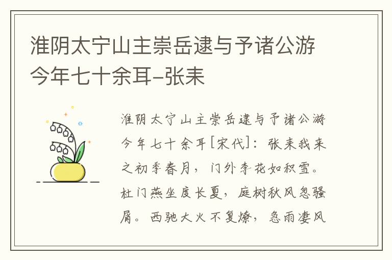 淮阴太宁山主崇岳逮与予诸公游今年七十余耳-张耒