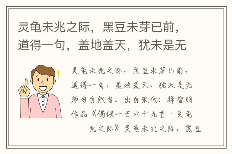 灵龟未兆之际，黑豆未芽已前，道得一句，盖地盖天，犹未是无师句自然句-释智朋