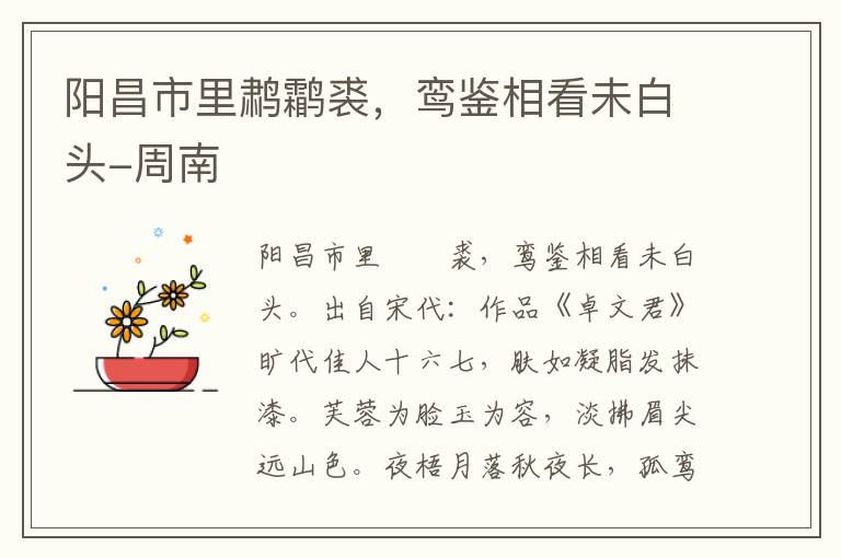 阳昌市里鹔鹴裘，鸾鉴相看未白头-周南